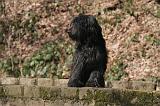 BRIARD 027